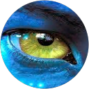 Free Dom profile picture