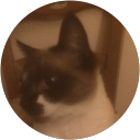 Lionel trouve profile picture